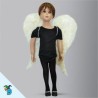 Alas De Ángel
