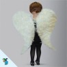 Alas De Ángel