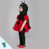 Catarina